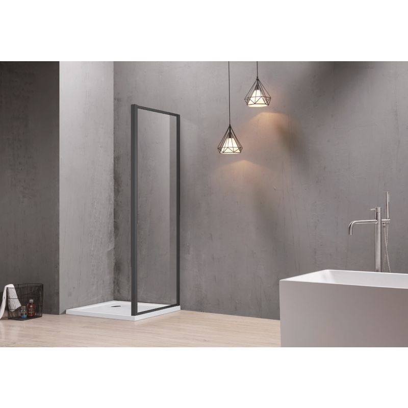 Душевая стенка Aquatek 100 AQ ARI WA 10020BL профиль Черный стекло прозрачное