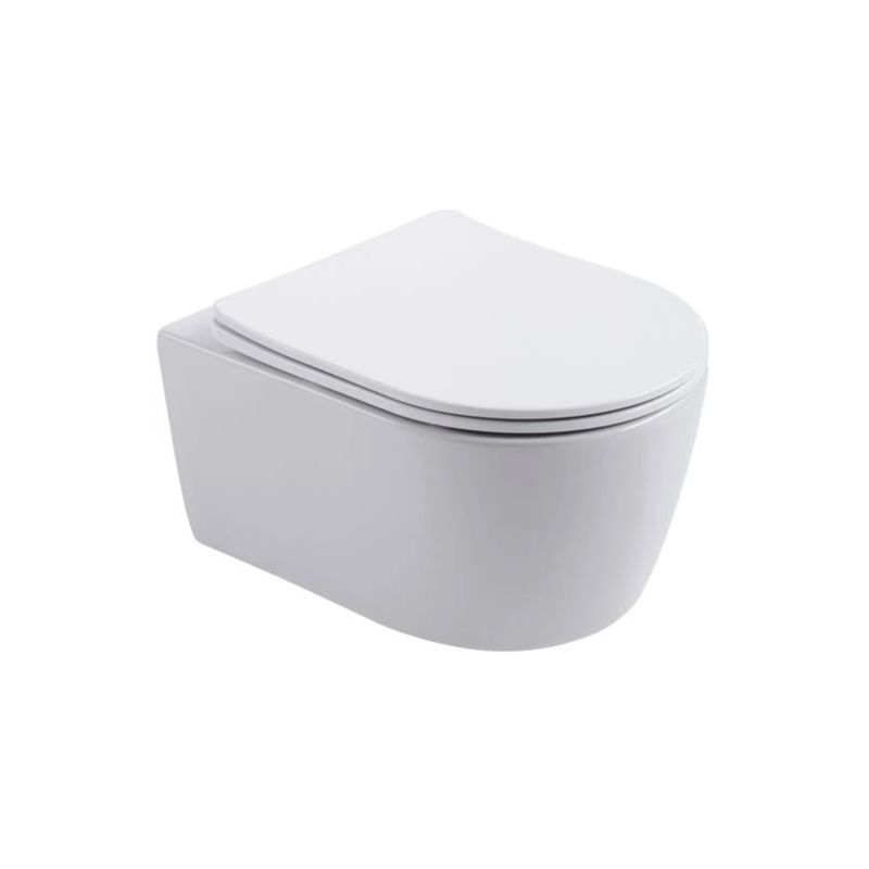 Унитаз Aquatek Европа AQ1106-00 подвесной с сиденьем Микролифт