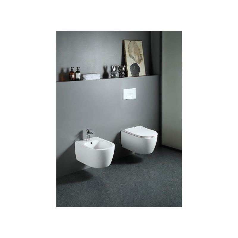 Унитаз Aquatek Европа AQ1106-00 подвесной с сиденьем Микролифт