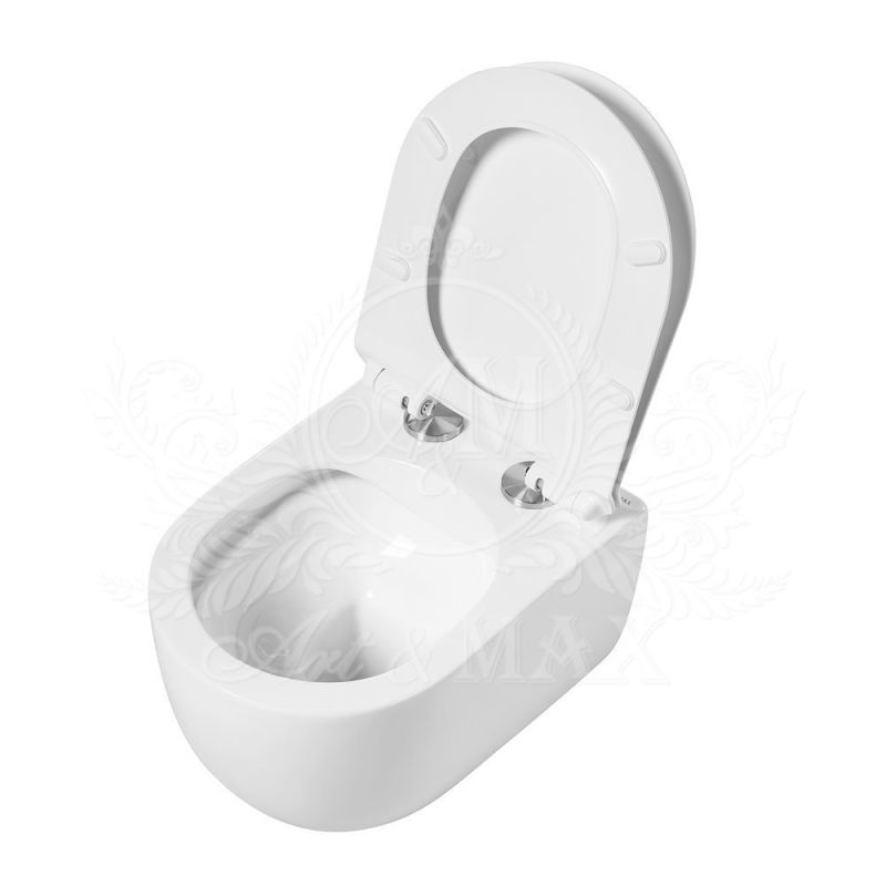 Сиденье для унитаза с микролифтом из дюропласта, быстросьемное с металлическим креплением ART&MAX AM2111SC