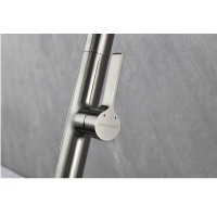 Смеситель Paulmark Barrel Ba214029-BS для кухонной мойки, с гибким изливом, брашированная нержавеющая сталь