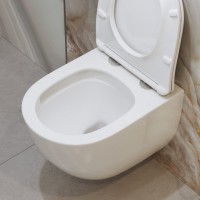 Подвесной унитаз BelBagno Amanda-Tor безободковый, смыв Tornado, белый, BB051CH-TOR-FC