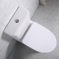 Напольный унитаз BelBagno Steam BB130CPR/SC безободковый, бачок BB130T, сиденье микролифт, белый