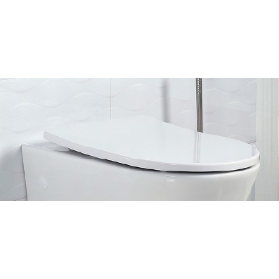 Крышка-сиденье BelBagno BB2031SC с микролифтом