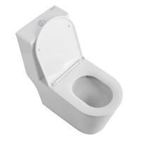 Напольный унитаз BelBagno Tre-Tor BB673CP-MN-TOR/SC с бачком, безободковый, смыв торнадо, сиденье микролифт, белый