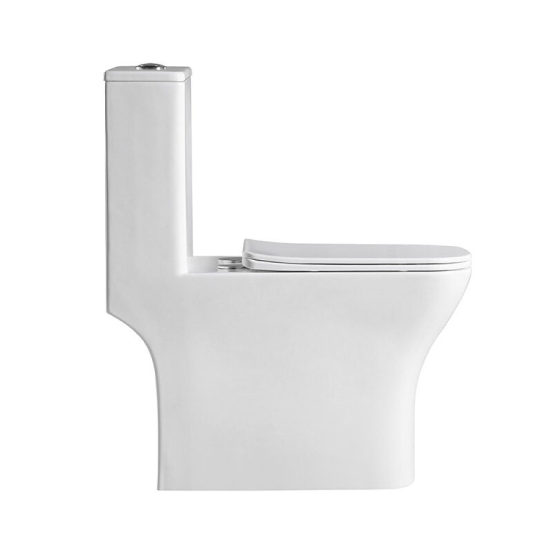 Унитаз моноблок BelBagno Neon BB8617CPR-MN/SC, безободковый, крышка-сиденье soft close, белый
