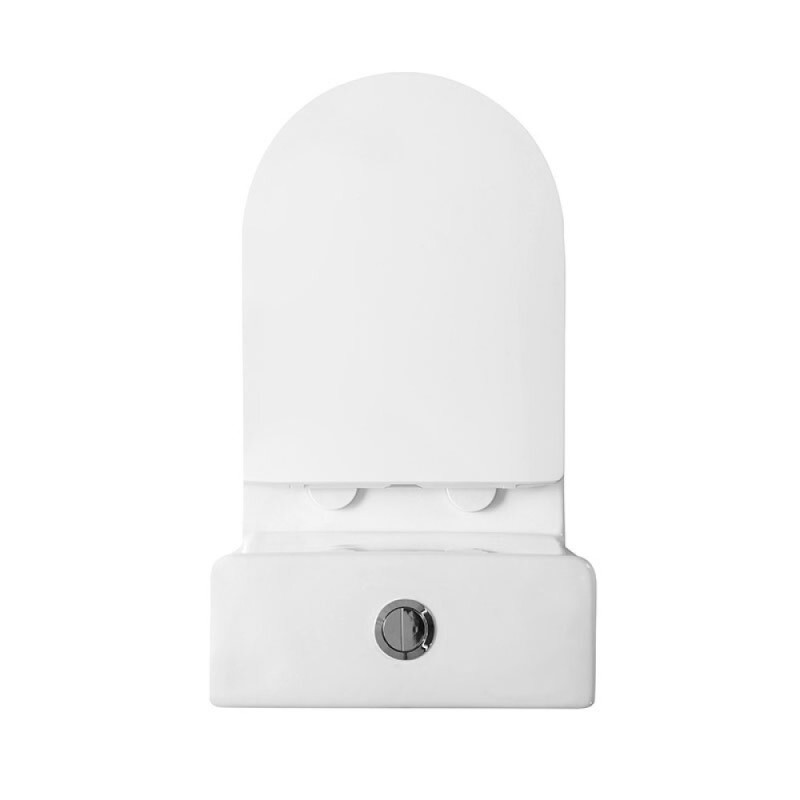 Унитаз моноблок BelBagno Lounge, безободковый, крышка-сиденье soft close, белый, BB8618CPR-MN/SC