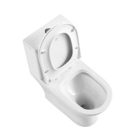 Унитаз моноблок BelBagno Lounge, безободковый, крышка-сиденье soft close, белый, BB8618CPR-MN/SC
