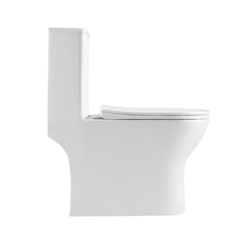 Унитаз моноблок BelBagno Lounge, безободковый, крышка-сиденье soft close, белый, BB8618CPR-MN/SC