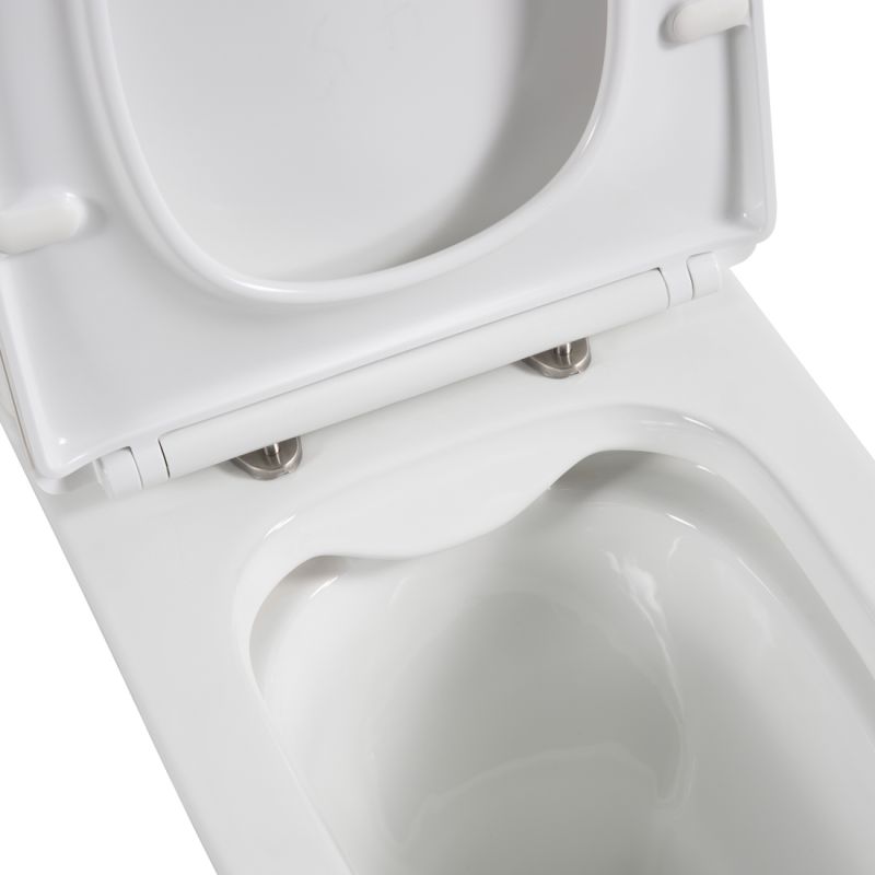 Чаша напольного унитаза c сиденьем BelBagno LOUNGE BB045CPR/SC