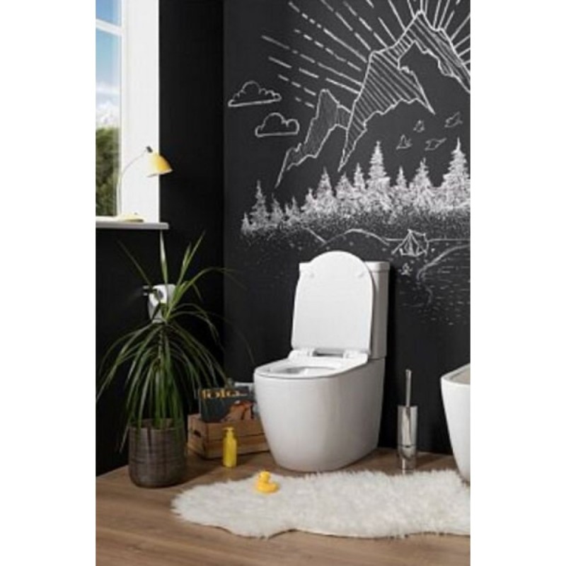 Напольный безободковый унитаз Aquanet Cetus-C1 BL-102N-TPT с бачком 203343, цвет белый