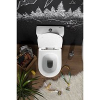 Напольный безободковый унитаз Aquanet Cetus-C1 BL-102N-TPT с бачком 203343, цвет белый