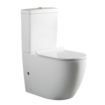 Напольный безободковый унитаз Aquanet Cetus-C1 BL-102N-TPT с бачком 203343, цвет белый