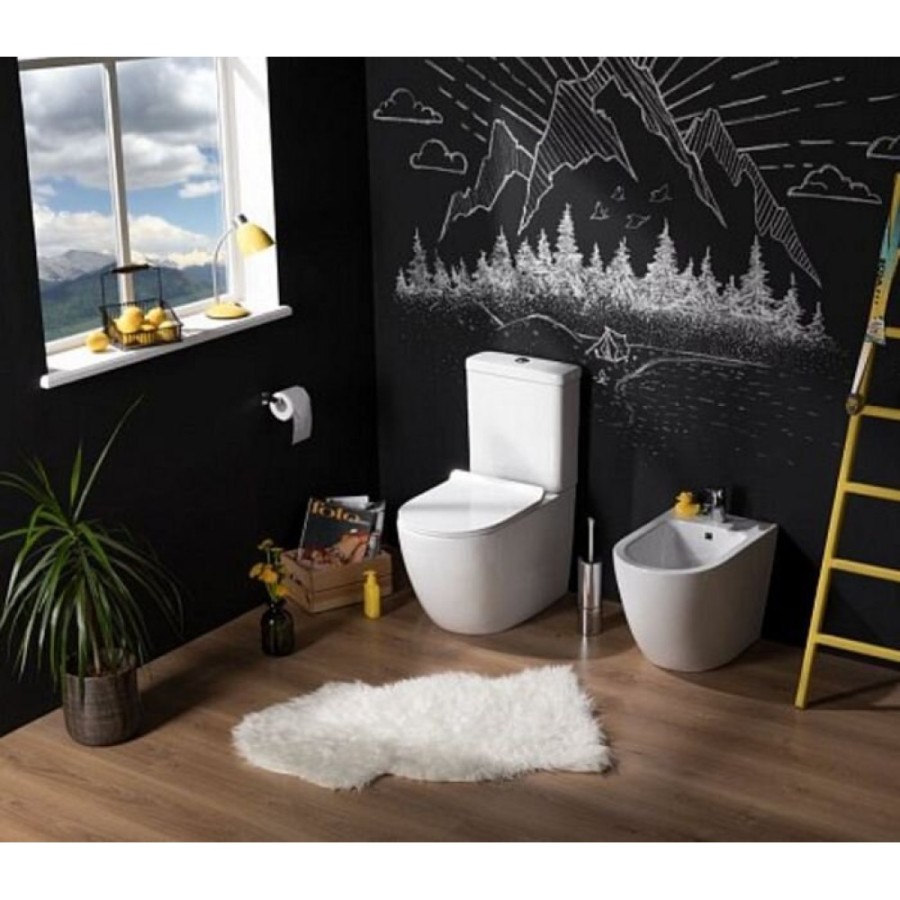 Напольный безободковый унитаз Aquanet Cetus-C1 BL-102N-TPT с бачком 203343, цвет белый