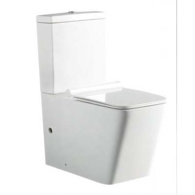 Напольный безободковый унитаз Aquanet Tavr-C1 BL-103N-TPT с бачком 203347, цвет белый