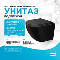 Унитаз подвесной Iddis Blanco BLAR3BMi25, безободковый, сиденье микролифт, черный