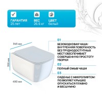 Подвесной унитаз Iddis Bridge BRIRDSEi25, безободковый, с сиденьем Soft Close, белый