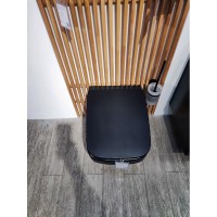 Подвесной унитаз Am.Pm Inspire V2.0 FlashClean безободковый, с сиденьем микролифтом, черный матовый, C50A1700MBSC