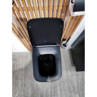 Подвесной унитаз Am.Pm Inspire V2.0 FlashClean безободковый, с сиденьем микролифтом, черный матовый, C50A1700MBSC