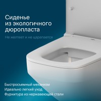 Подвесной безободковый унитаз Am.Pm Inspire V2.0 FlashClean, с сиденьем микролифт, белый матовый, C50A1700MWSC