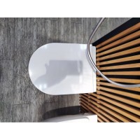 Подвесной унитаз AM.PM Spirit FlashClean C701700WH 2.0, безободковый