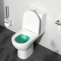 Напольный унитаз Am.Pm Sunny C85C8600SC, безободковый, с сиденьем микролифт, белый