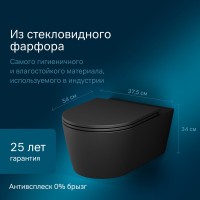 Подвесной безободковый унитаз Am.Pm Func C8F1701MBSC FlashClean, с сиденьем микролифт, черный матовый