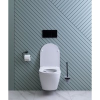 Подвесной безободковый унитаз Aquanet Cetus 2.0 W LX-1901 (243541), крышка микролифт Slimseat, цвет белый