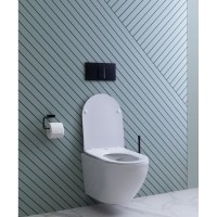 Подвесной безободковый унитаз Aquanet Cetus 2.0 W LX-1901 (243541), крышка микролифт Slimseat, цвет белый