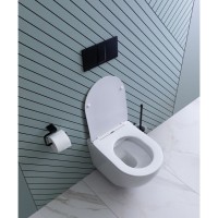 Подвесной безободковый унитаз Aquanet Cetus 2.0 W LX-1901 (243541), крышка микролифт Slimseat, цвет белый