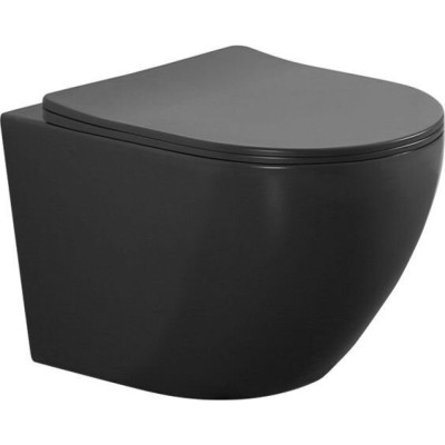 Подвесной безободковый унитаз Aquanet Cetus 2.0 W MB LX-1901С (279091), крышка микролифт, цвет черный матовый