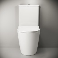 Напольный безободковый унитаз Ceramicanova HighLight Rimless, крышка микролифт CN1802, сантехфарфор