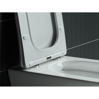 Подвесной унитаз Ceramicanova Mono Rimless CN1902 35 x 50 x 36 см безободковый, сантехфасфор, с сиденьем Soft Close