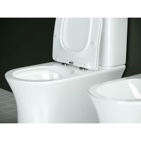Напольный унитаз Ceramicanova Star Rimless CN1904 39 x 65 x 84 см безободковый, с сиденьем Soft Close, сантехфарфор