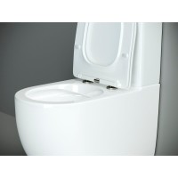 Напольный безободковый унитаз Ceramicanova Metropol CN4001 Rimless, крышка микролифт, сантехфарфор