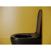 Подвесной унитаз Ceramicanova Vogue, CN4008TMB, Торнадо, безободковый, крышка-сиденье микролифт, черный матовый, сантехфарфор