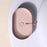 Раковина Ceramicanova Element CN6048MP, 60 см, сантехфарфор, цвет розовый матовый