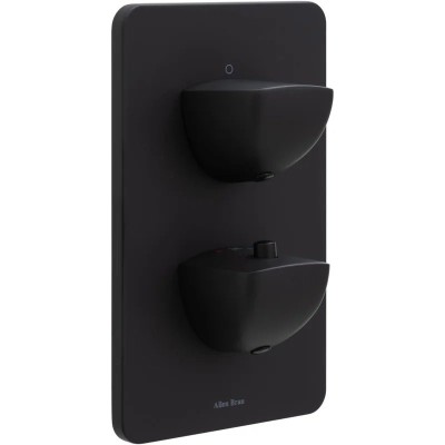 Смеситель для душа Allen Brau Infinity 5.21116-31 (с...