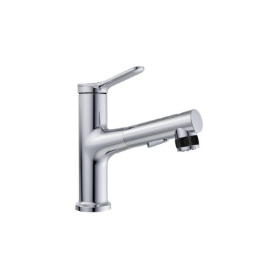 Смеситель для раковины с выдвижным изливом BelBagno ...