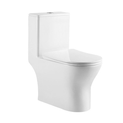 Унитаз-моноблок с сиденьем BelBagno LOUNGE BB8618CPR...
