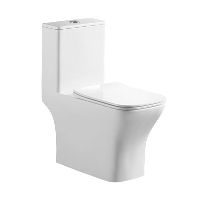 Унитаз-моноблок с сиденьем BelBagno NEON BB8617CPR-M...