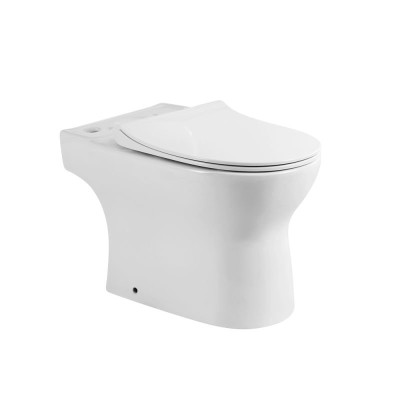 Чаша напольного унитаза с сиденьем BelBagno STEAM BB...