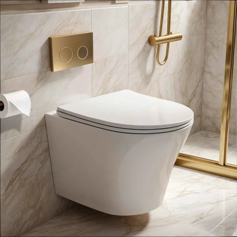 Унитаз ADIGE Aria подвесной безободковый Ceruttispa CT7837 (490x360x355)