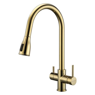 Смеситель для кухни Paulmark Lange La214212-G Золото