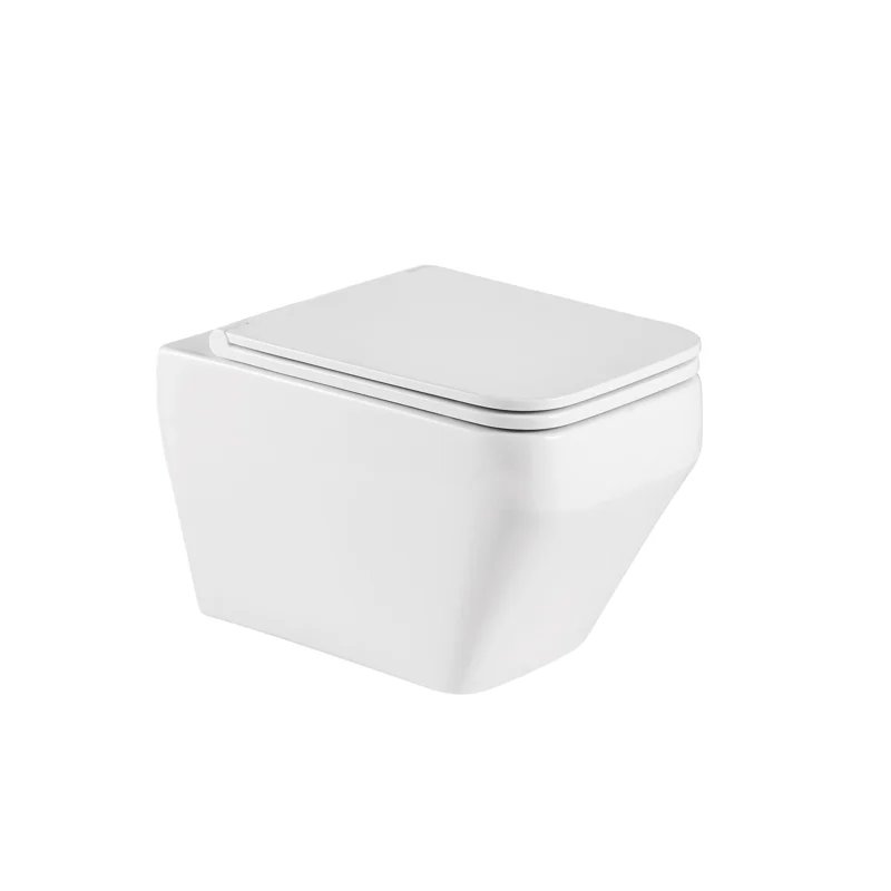Унитаз WeltWasser Hofbach 041 GL-WT 10000011134 подвесной с сиденьем Микролифт Унитаз WeltWasser Hofbach 041 GL-WT 10000011134 подвесной с сиденьем Микролифт