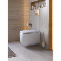 Подвесной унитаз Cezares Comfort-Tor CZR-380-TH-TOR/SC, безободковый, смыв торнадо, сиденье микролифт, белый
