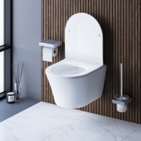 Подвесной безободковый унитаз Damixa Skyline DX35C1700SC, крышка микролифт