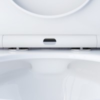 Подвесной безободковый унитаз Damixa Skyline DX35C1700SC, крышка микролифт