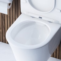 Подвесной безободковый унитаз Damixa Skyline DX35C1700SC, крышка микролифт