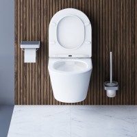 Подвесной безободковый унитаз Damixa Skyline DX35C1700SC, крышка микролифт
